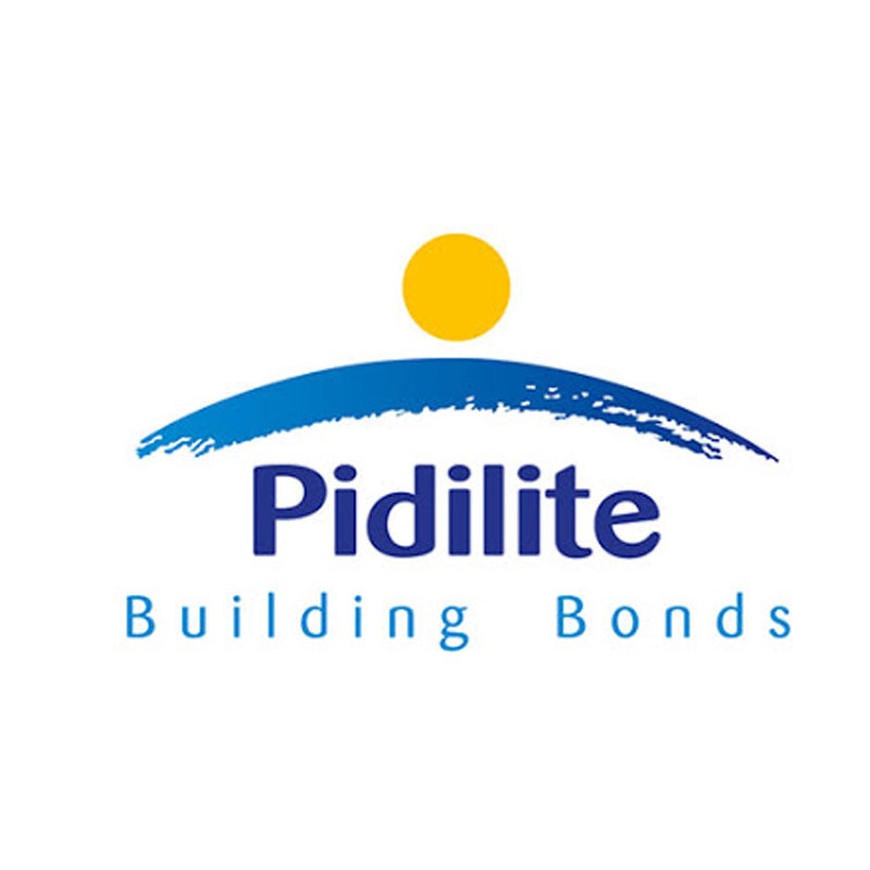 Pidilite recognized by Great Place to Work among India’s best workplaces in Manufacturing 2022