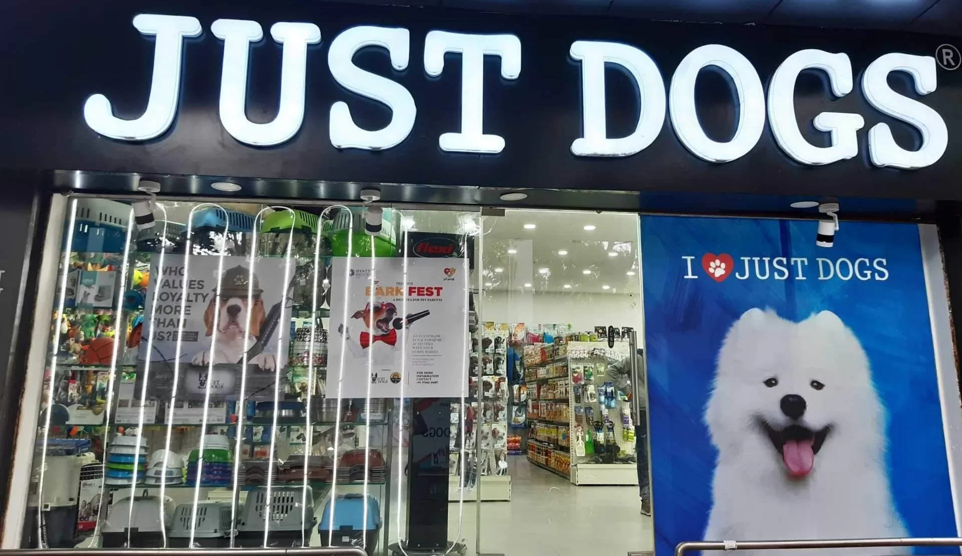 JUSTDOGS launches its new avatar “JUSTDOGS – Unconditionally Yours”