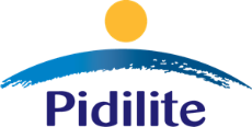 Pidilite to manufacture Litokol and Tenax products from Italy in India